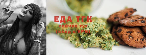индика Бугульма