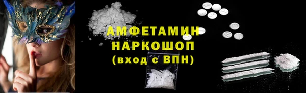 индика Бугульма