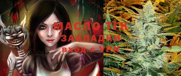 индика Бугульма