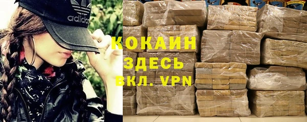индика Бугульма