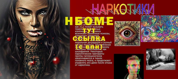 индика Бугульма