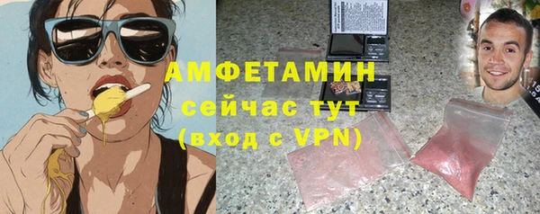 индика Бугульма