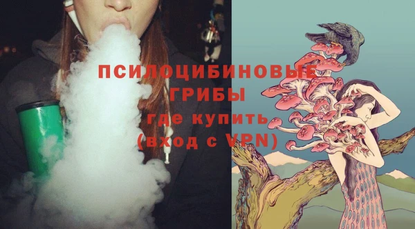 первитин Бородино