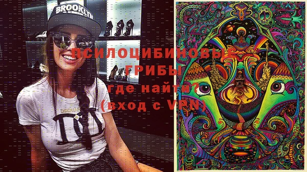 индика Бугульма