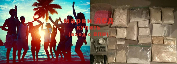 индика Бугульма