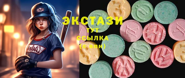индика Бугульма