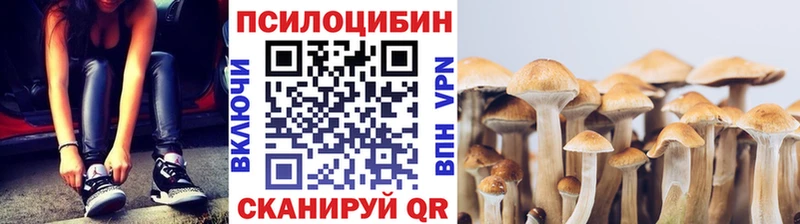 Псилоцибиновые грибы Magic Shrooms  что такое   Ильский 